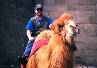 Camel Jockey
